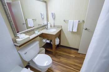 Premium Room, 1 King Bed, Pool Access