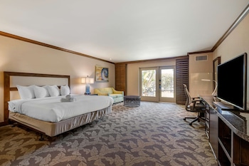 Standard Room, 1 King Bed, Non Smoking, Refrigerator & Microwave