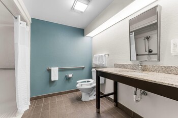 Accessible Room | 1 Queen Bed | Roll-In Shower | Sleeps 2 | Free Breakfast