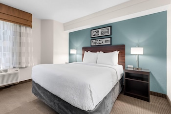 Accessible Room | 1 Queen Bed | Roll-In Shower | Sleeps 2 | Free Breakfast