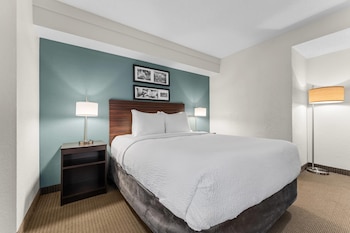 Accessible Room | 1 Queen Bed | Roll-In Shower | Sleeps 2 | Free Breakfast
