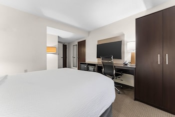 Accessible Room | 1 Queen Bed | Roll-In Shower | Sleeps 2 | Free Breakfast