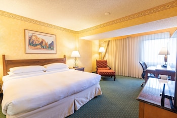 Room, 1 King Bed