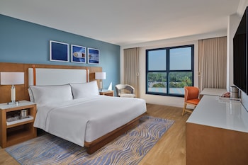 Traditional Room, 1 King Bed (Mobility/Hearing Access, Roll-In Shwr)
