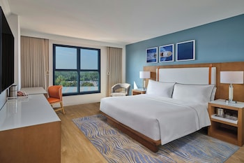 Traditional Room, 1 King Bed (Mobility/Hearing Access, Roll-In Shwr)
