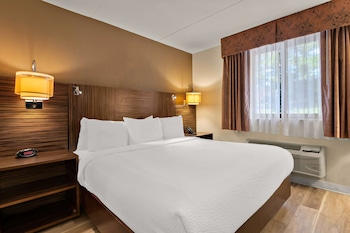 Room, 1 King Bed, Non Smoking