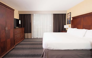 Room, 1 King Bed, Non Smoking (Basic)
