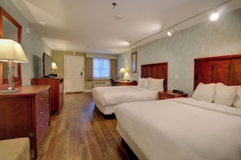 Premium Two Queen | Pet-Friendly