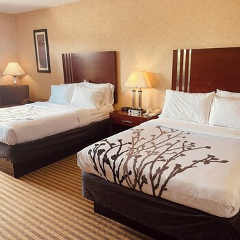Standard Room, 2 Double Beds