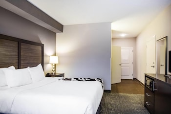 Room, 1 King Bed, Accessible, Non Smoking (Mobility Accessible)
