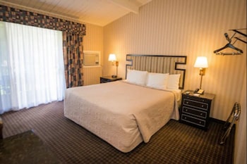 Suite, 1 King Bed with Sofa bed