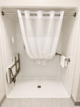 Room, 1 King Bed, Non Smoking (Mobility, Roll-in Shower)