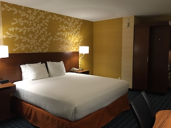 Room, 1 King Bed Non smoking (Mobility Accessible, Roll-in Shower)