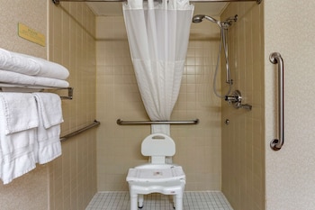Room, 1 King Bed, Accessible, Non Smoking (Roll-In Shower)