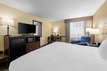 Standard Room, 1 King Bed, Accessible, Non Smoking
