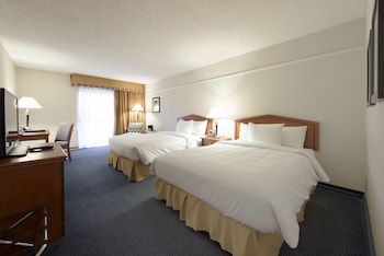 Deluxe Double Room, Refrigerator