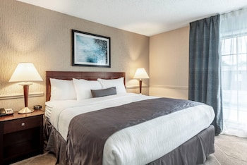 Suite, 1 King Bed with Sofa bed, Accessible, Non Smoking