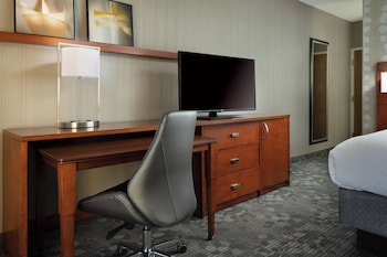 Room, 1 King Bed with Sofa bed