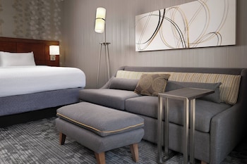 Room, 1 King Bed with Sofa bed
