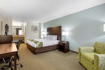 Standard Room, 1 King Bed, Non Smoking
