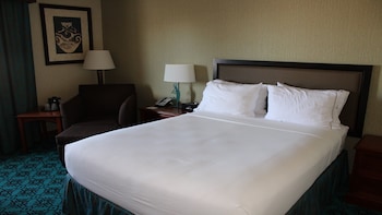 Standard Room, 1 Queen Bed, Accessible, Non Smoking (Mobility)