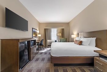 Standard Room, 1 Queen Bed, Accessible, Refrigerator & Microwave