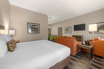 Suite, 1 King Bed, Non Smoking, Kitchen (with Sofabed, Full Kitchen)
