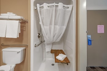 Standard Room, 1 Queen Bed, Accessible, Refrigerator & Microwave