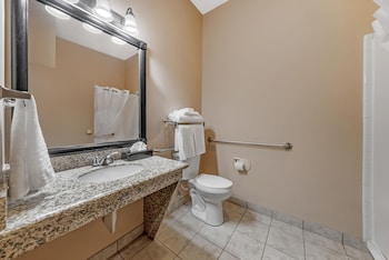 Standard Room, 1 King Bed, Accessible, Refrigerator & Microwave