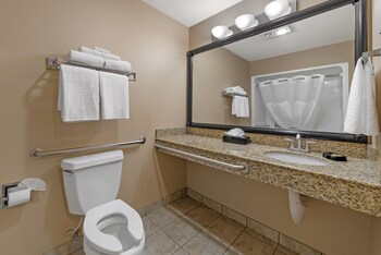 Standard Room, 1 Queen Bed, Accessible, Refrigerator & Microwave (Walk-in Shower)