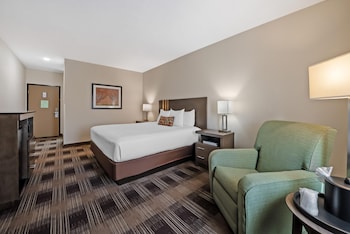 Standard Room, 1 King Bed, Non Smoking, Refrigerator & Microwave