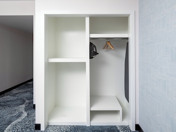 Accessible Room, 1 King Bed with Roll-in Shower