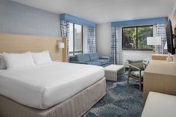 Standard Room, 1 King Bed