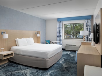 Accessible Room, 1 King Bed with Roll-in Shower