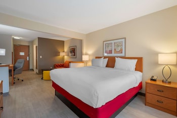 Suite, 1 King Bed with Sofa bed, Non Smoking