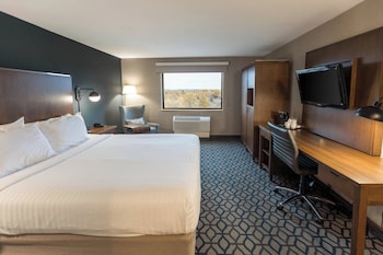Standard Room, 1 King Bed, Accessible, Non Smoking