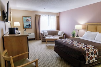 Room, 1 Queen Bed (Downstairs)