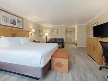 Premium Room, 1 King Bed, Roll-in Shower (Communications, Mobility)
