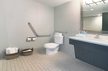Standard Room, 1 Double Bed, Accessible (Roll-In Shower)