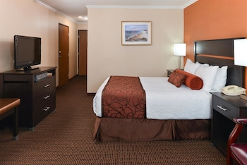 Standard Room, 1 Queen Bed, Accessible, Non Smoking (Fees apply over 2 adults)
