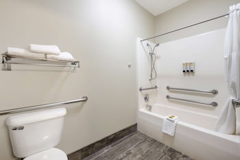 Standard Room, 1 King Bed, Accessible, Bathtub
