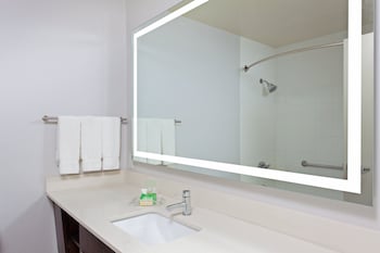 Standard Room, 1 King Bed, Mobility Accessible (Roll-In Shower)