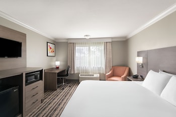 Standard Room, 1 King Bed