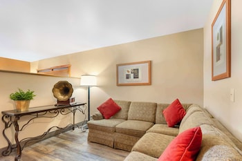 Business Suite, 1 King Bed, Non Smoking, Refrigerator & Microwave (Living Room)