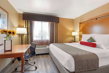 Business Suite, 1 King Bed, Non Smoking, Refrigerator & Microwave (Living Room)