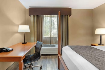 Standard Room, 1 King Bed, Non Smoking, Refrigerator & Microwave