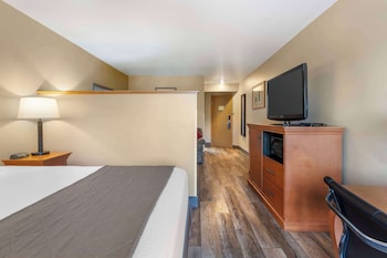 Business Suite, 1 King Bed, Non Smoking, Refrigerator & Microwave (Living Room)