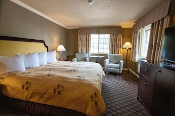 Deluxe Room, 1 King Bed, Non Smoking (Pet Friendly)