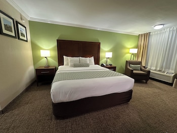 Room, 1 King Bed, Non Smoking