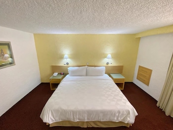 Standard Room, 1 King Bed (Walk-In Shower)